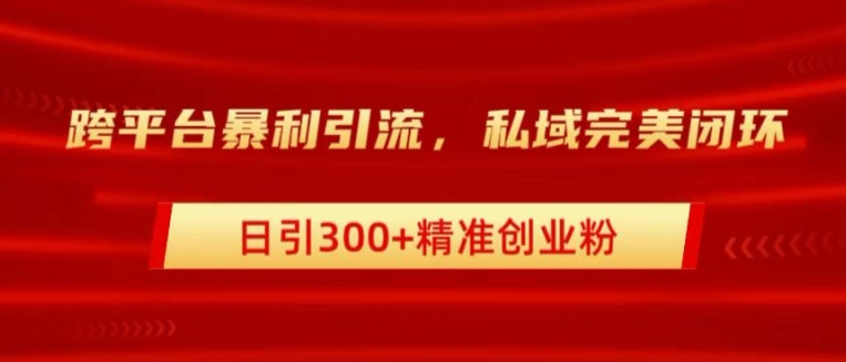 跨平台暴力引流，私域完美闭环，日引100 精准创业粉